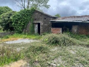 WhatsApp Image 2024 07 10 at 16.42.33 (2)