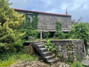 WhatsApp Image 2024 07 10 at 16.42.33