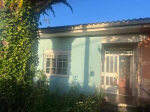 WhatsApp Image 2024 07 10 at 16.45.46 (1)