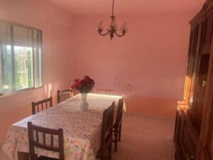 WhatsApp Image 2024 07 10 at 16.45.47 (1)