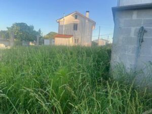 WhatsApp Image 2024 07 10 at 16.45.47 (4)