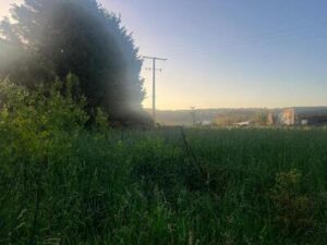 WhatsApp Image 2024 07 10 at 16.45.47 (6)