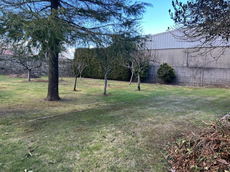 WhatsApp Image 2023 03 14 at 10.34.37 (11)