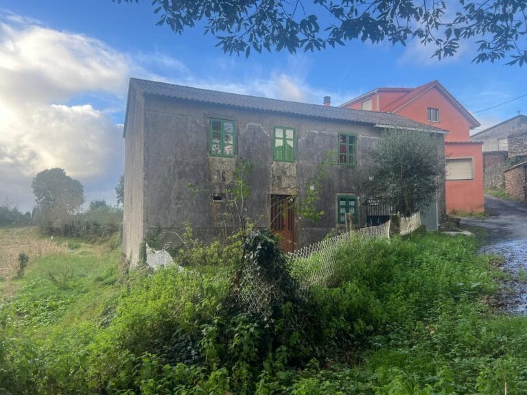 WhatsApp Image 2024 11 07 at 12.18.10 (1)