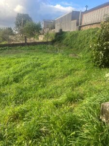 WhatsApp Image 2024 11 07 at 12.18.11 (4)