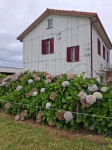 WhatsApp Image 2024 11 27 at 12.45.45