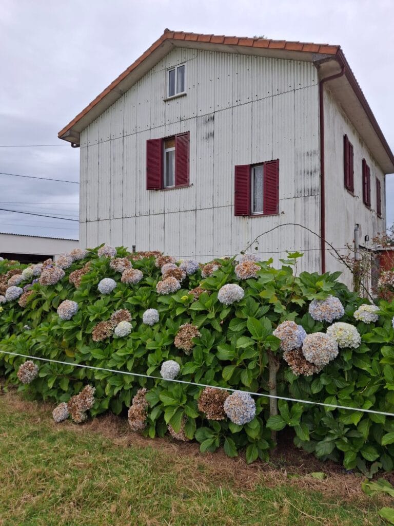 WhatsApp Image 2024 11 27 at 12.45.45