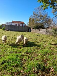 WhatsApp Image 2024 11 27 at 12.45.46