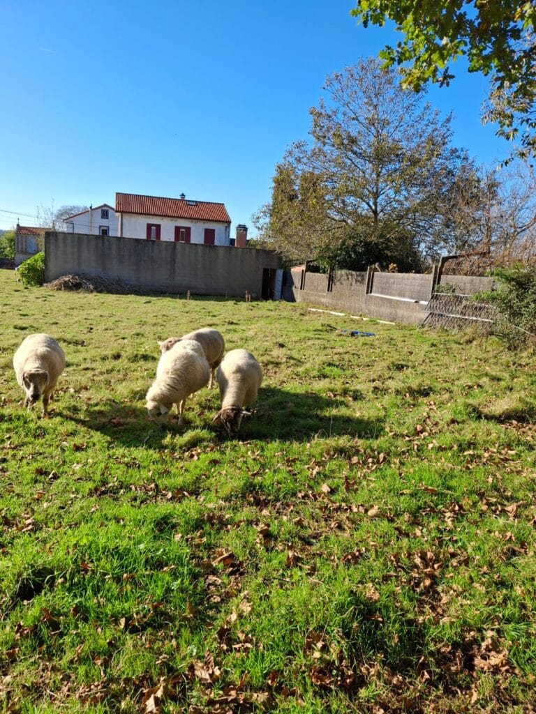 WhatsApp Image 2024 11 27 at 12.45.46